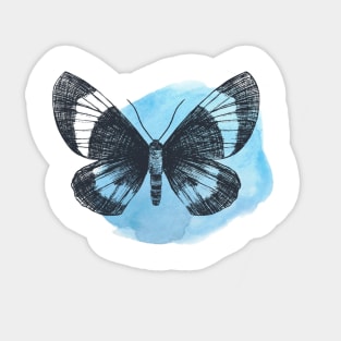 Butterfly Sticker